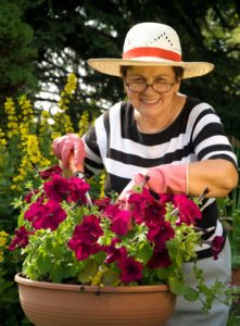 Home Care Services in Islip NY: Helping Seniors in the Garden
